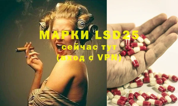 мяу мяу мука Алзамай